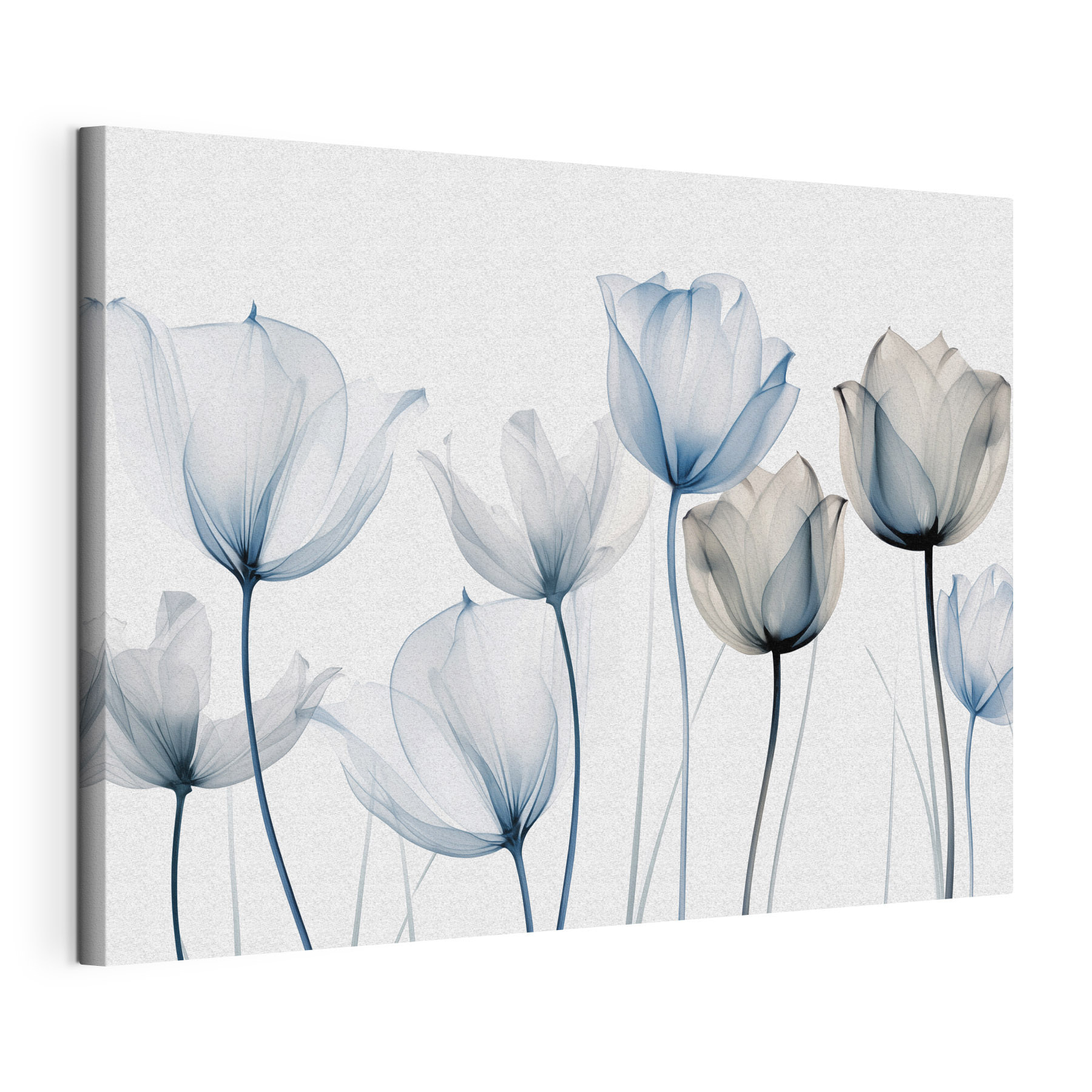 Group of flowers with transparent petals Group of flowers with transparent petals