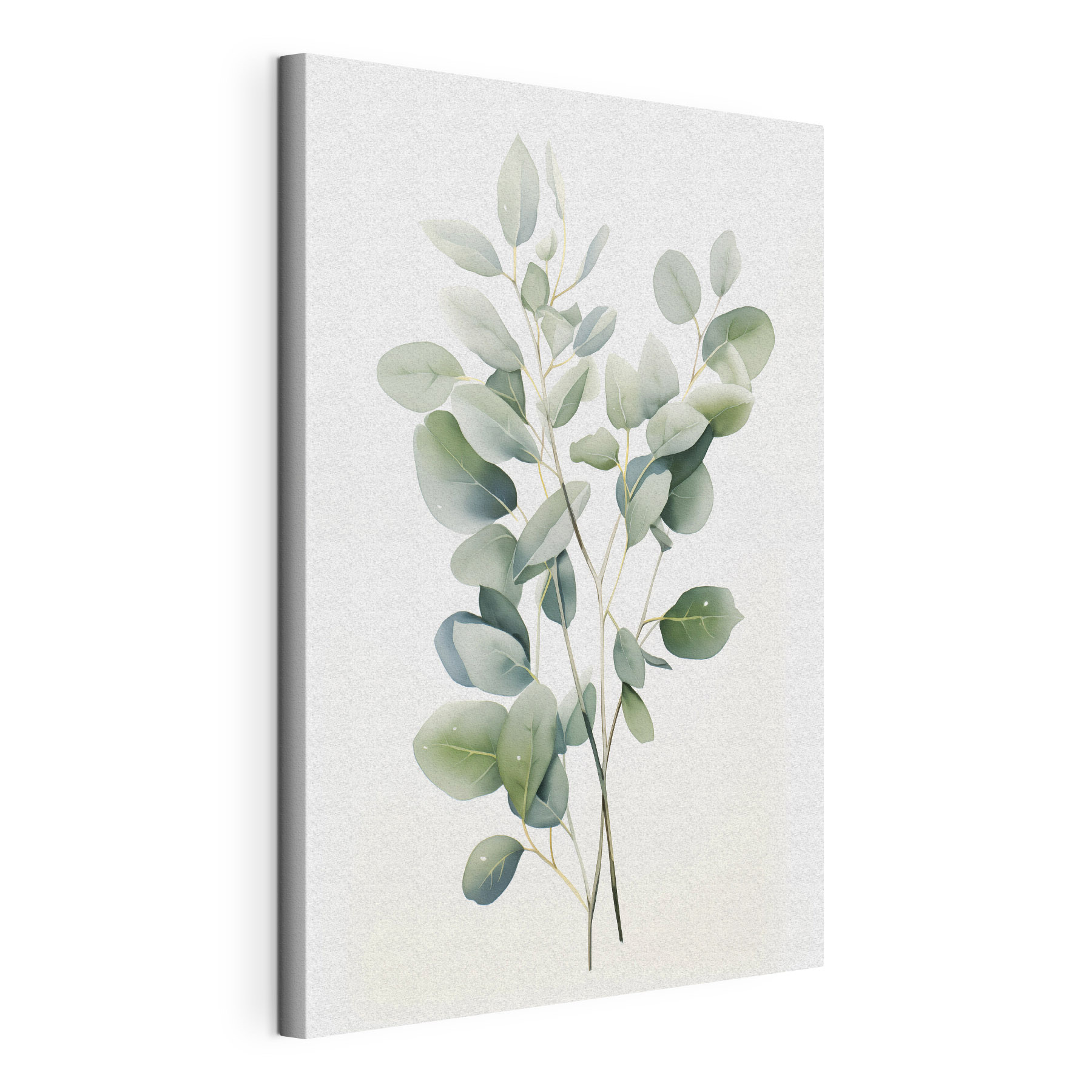 Watercolor of a plant Watercolor of a plant