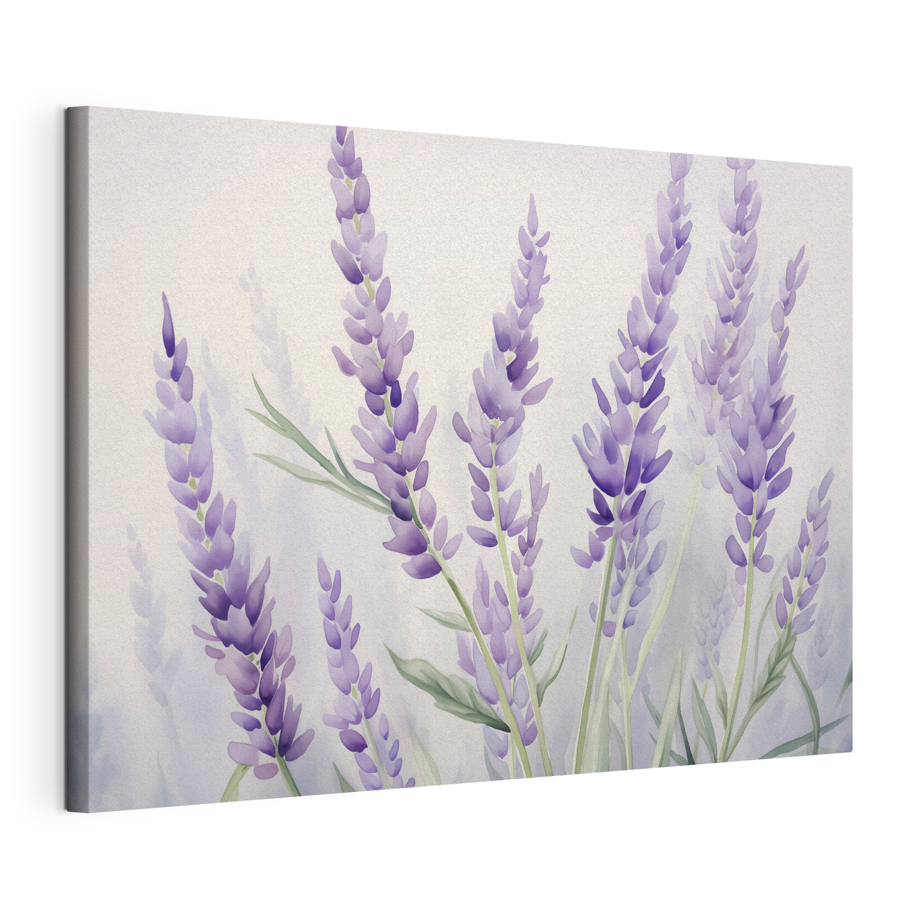 Delicate lavender blooms sway gently Delicate lavender blooms sway gently