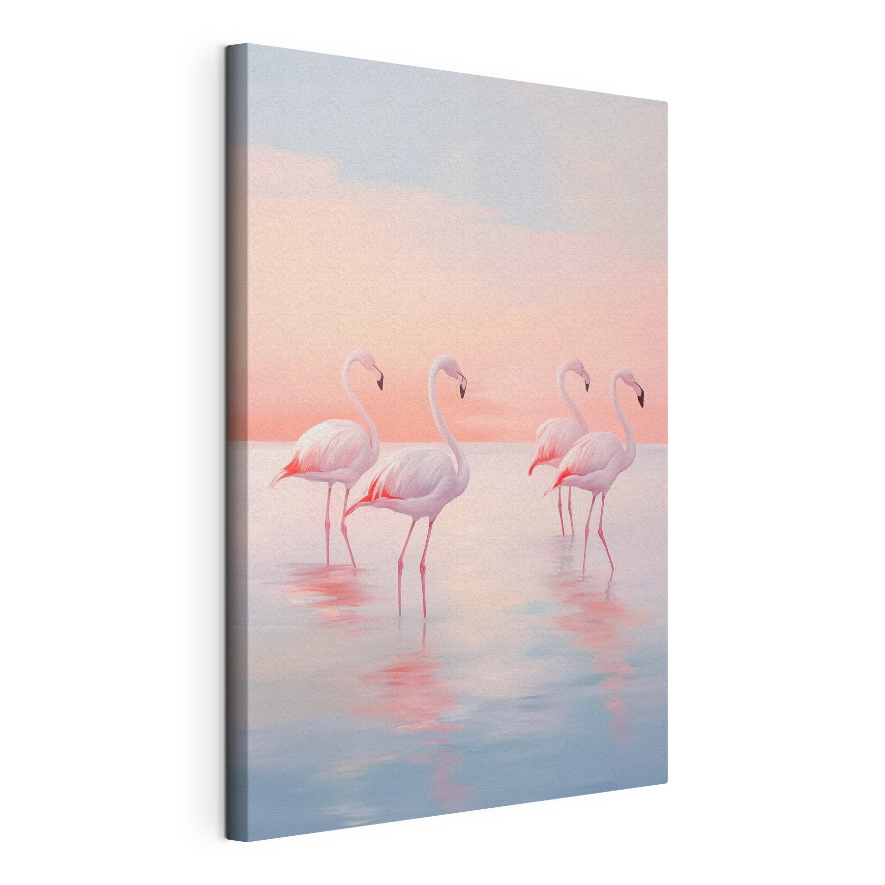 Group of flamingos standing in water Group of flamingos standing in water