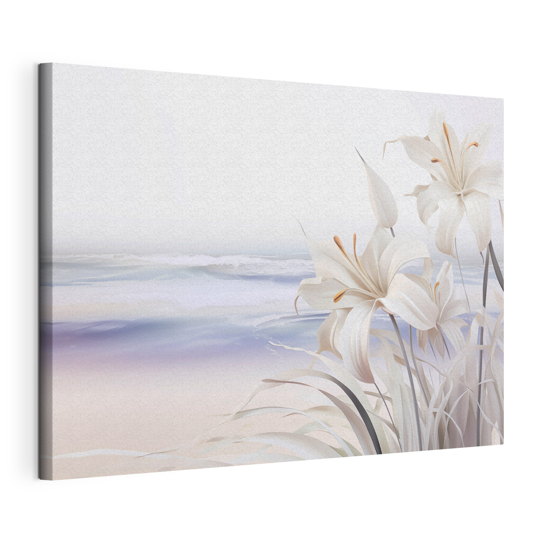 White flowers on a beach