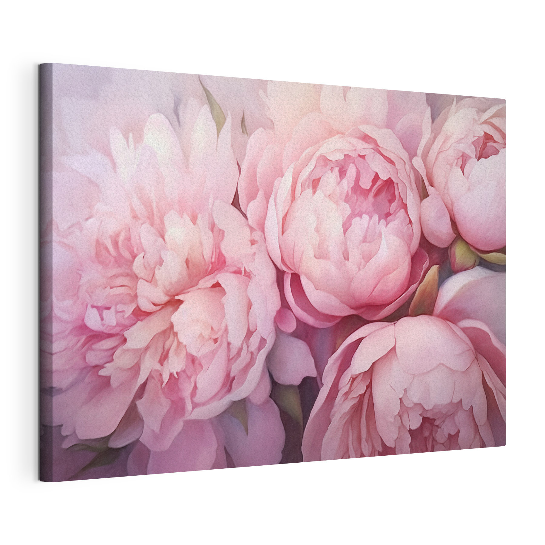 Soft petals in gentle hues Soft petals in gentle hues