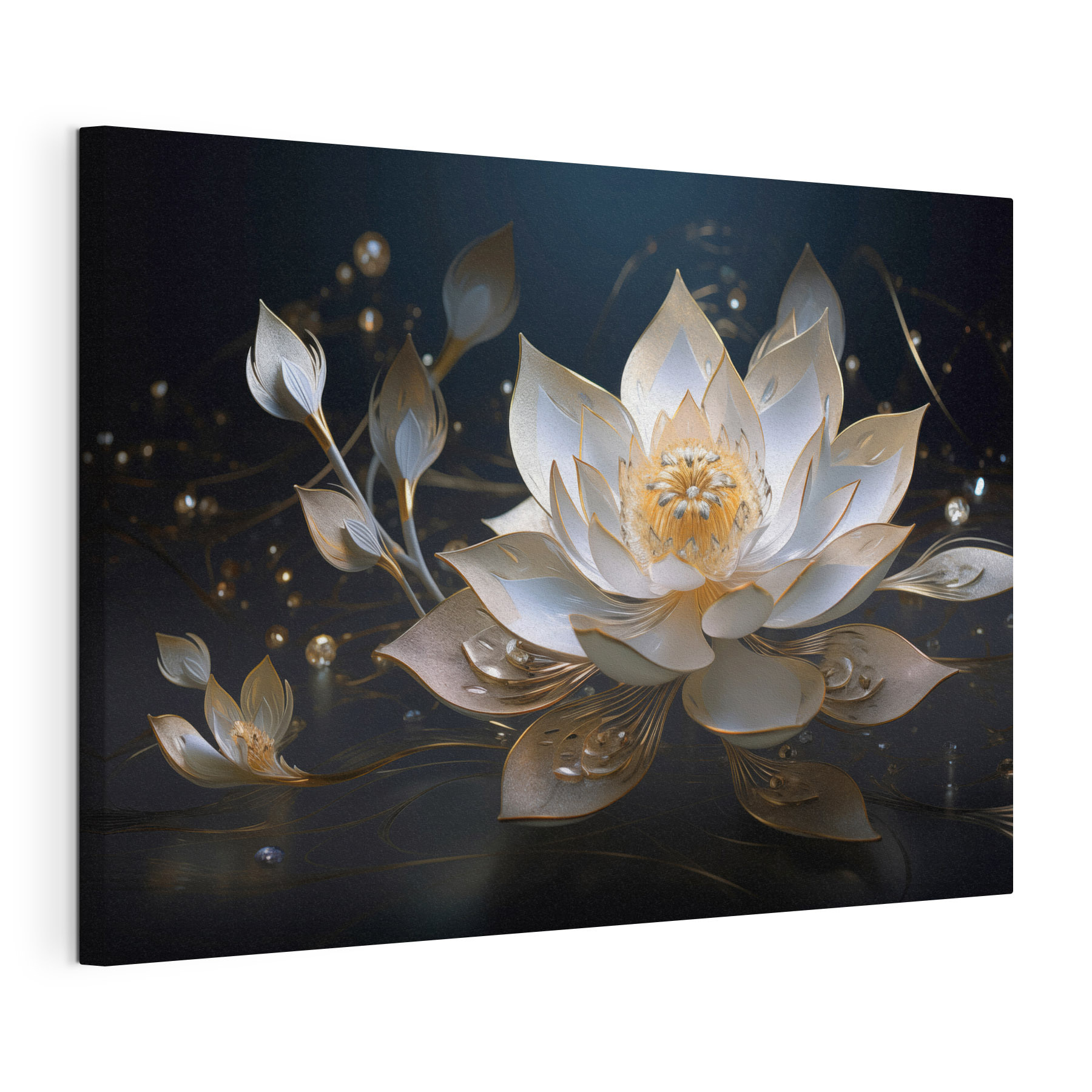 Elegant lotus blooms in soft light