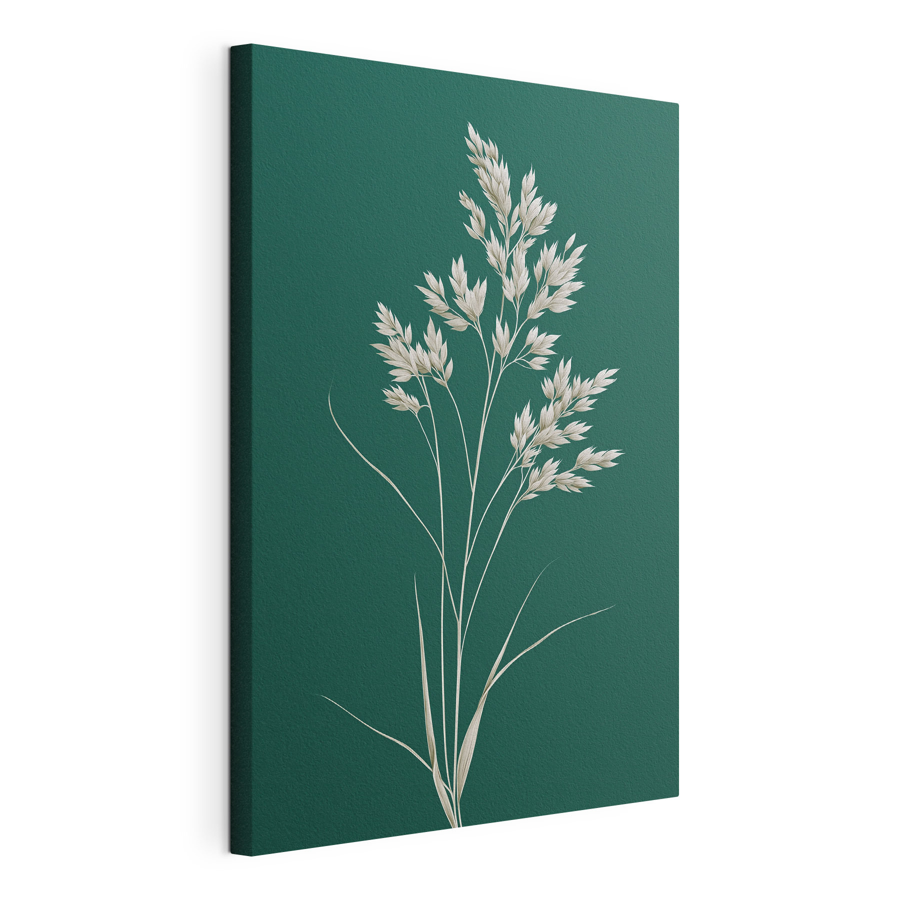 White plant with leaves on it