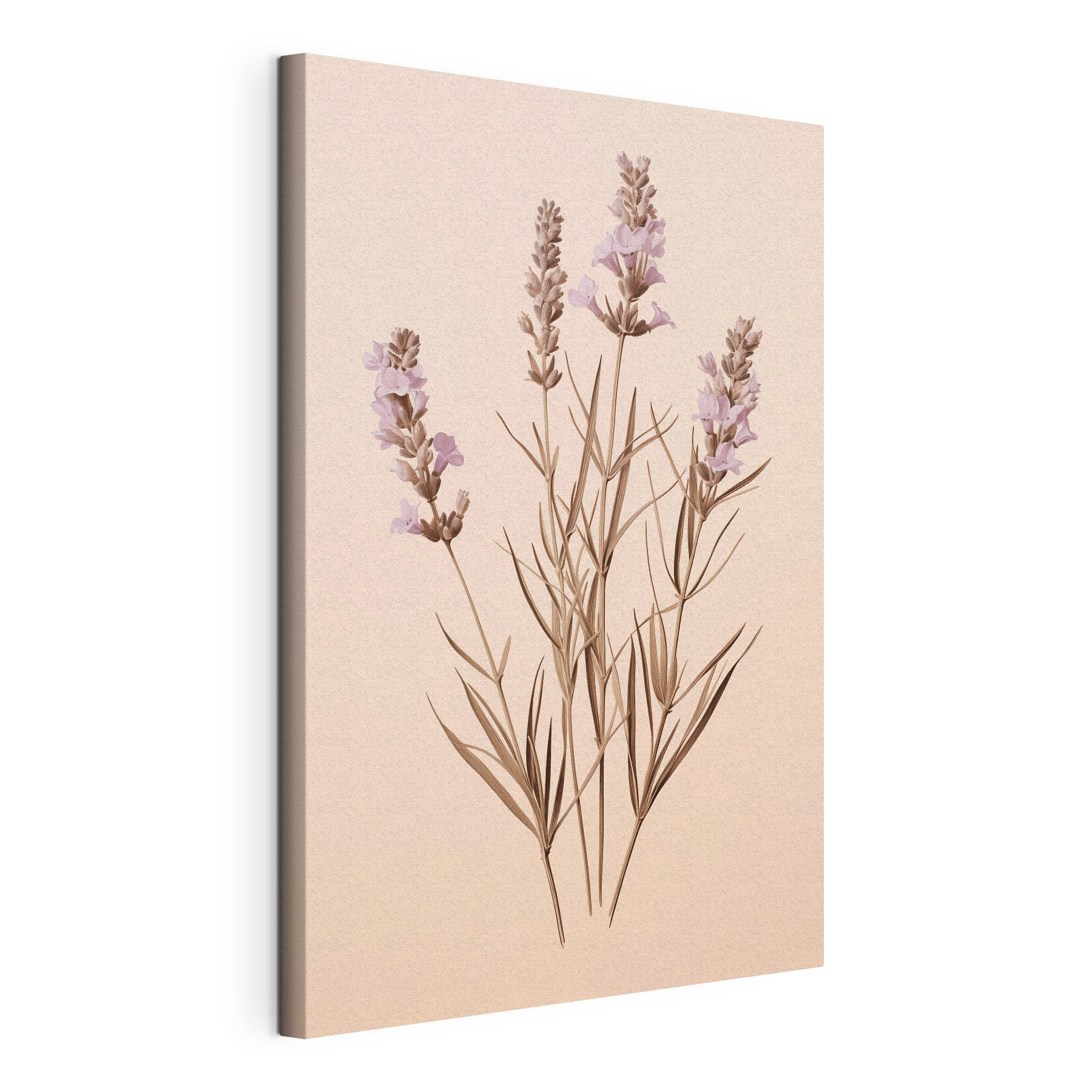 - Delicate blooms against a soft backdrop