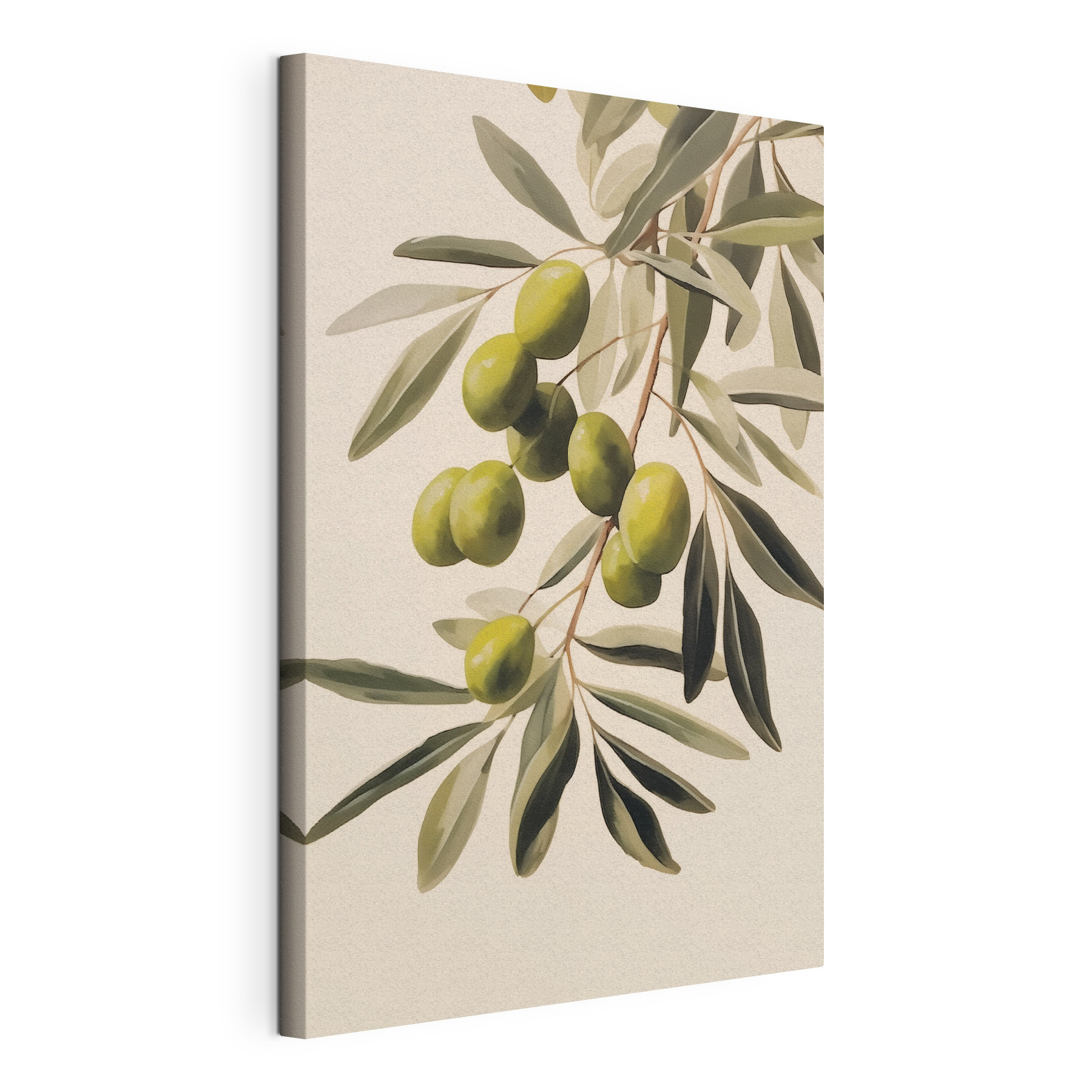 Painting of green olives on a branch Painting of green olives on a branch