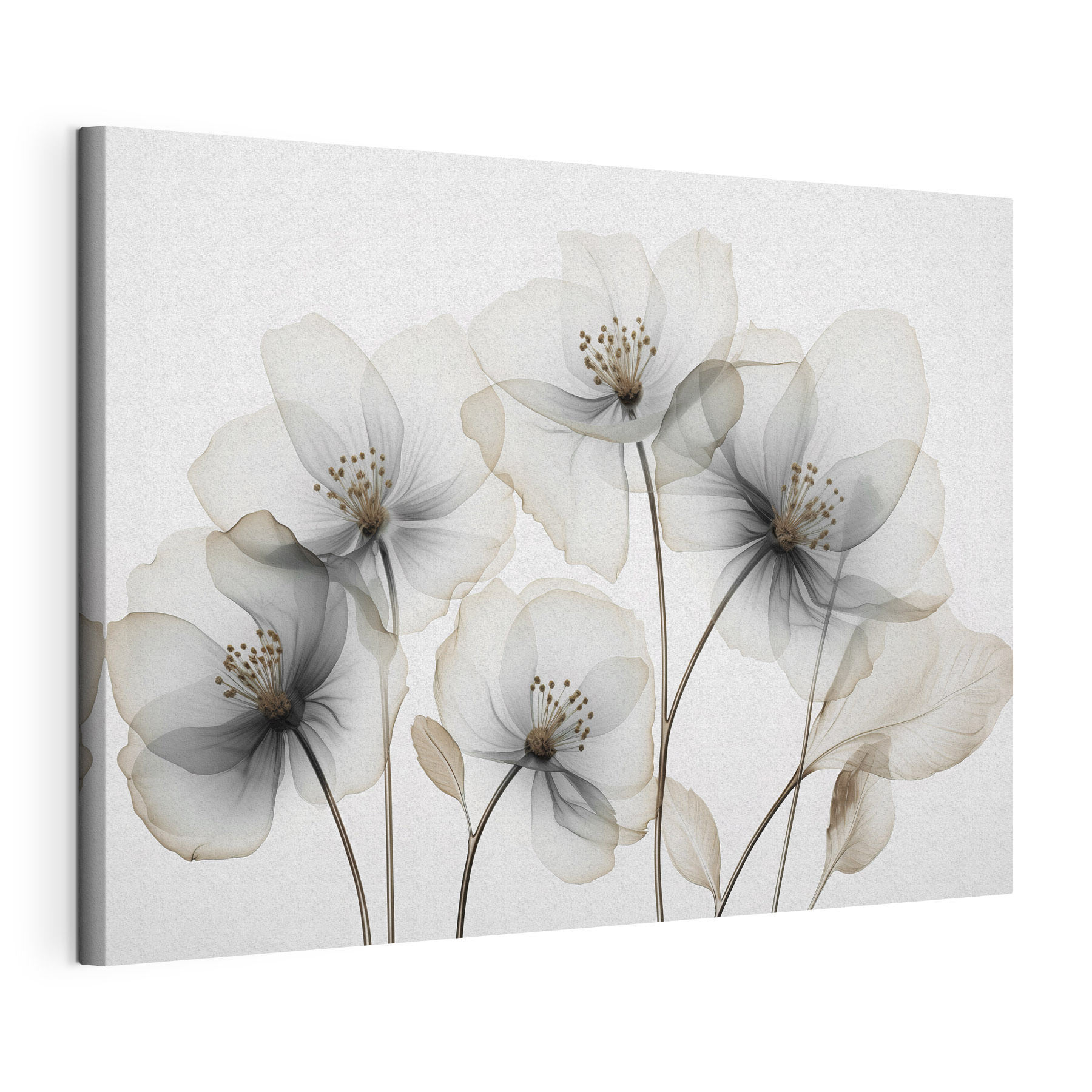 Group of flowers with brown stems Group of flowers with brown stems