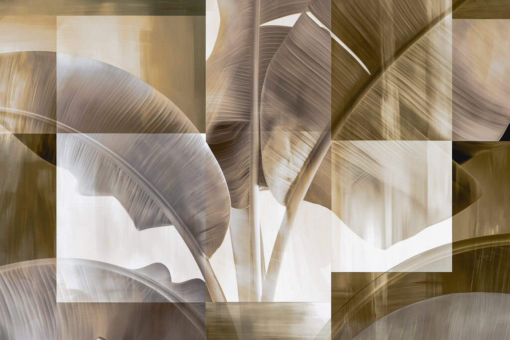 Soft hues of nature's design