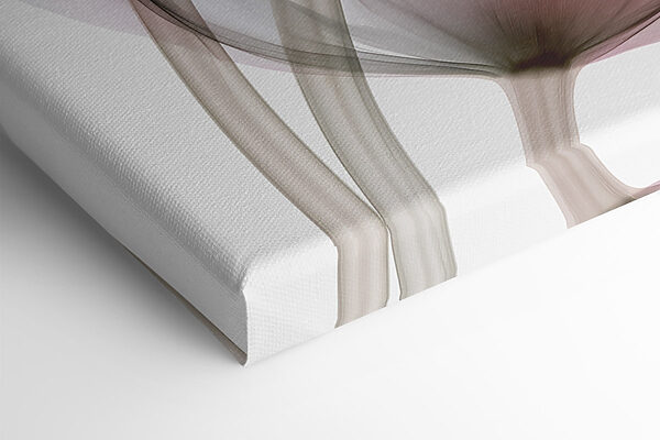 Delicate petals dancing in soft hues