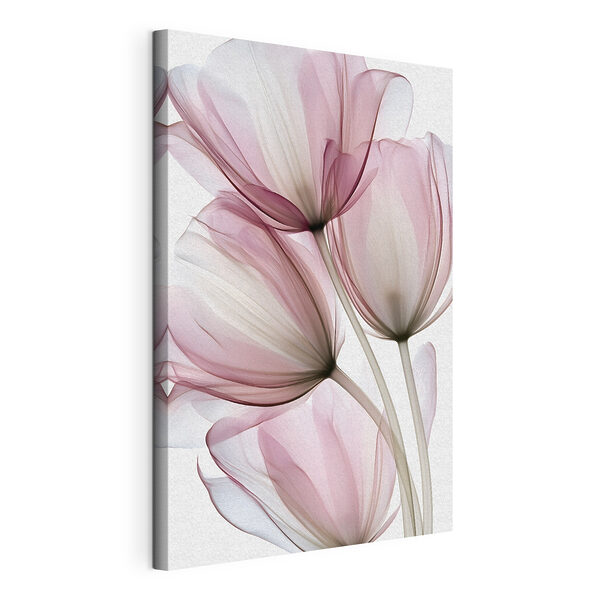 Wandbilder Durchscheinende Blütenblätter in zarten Pastelltönen (Artikelnummer: s49565) Wandbilder Wandbilder Durchscheinende Blütenblätter in zarten Pastelltönen (Artikelnummer: s49565)