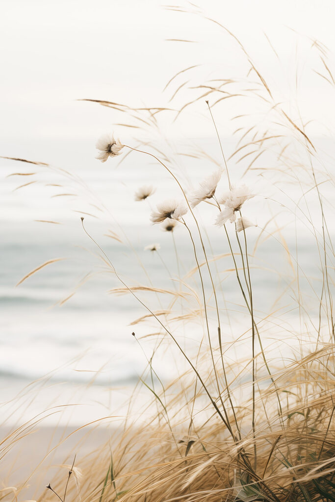 Gentle breeze through tall grasses Gentle breeze through tall grasses