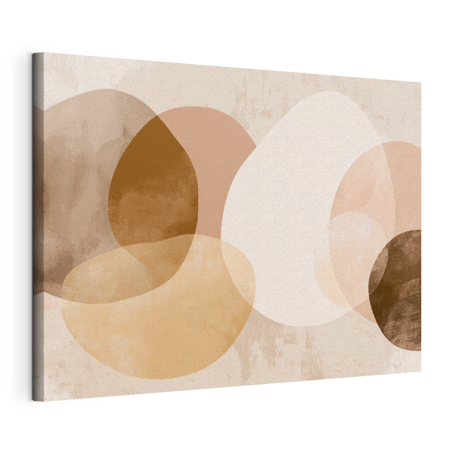 Group of brown and white circles