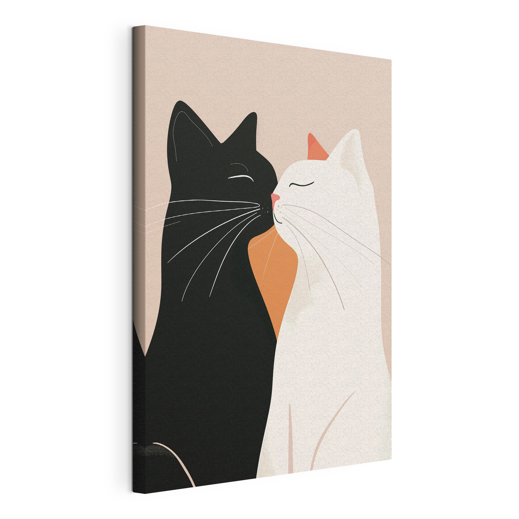 Black and white cats kissing Black and white cats kissing