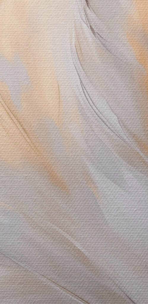 Soft feathers against a muted background