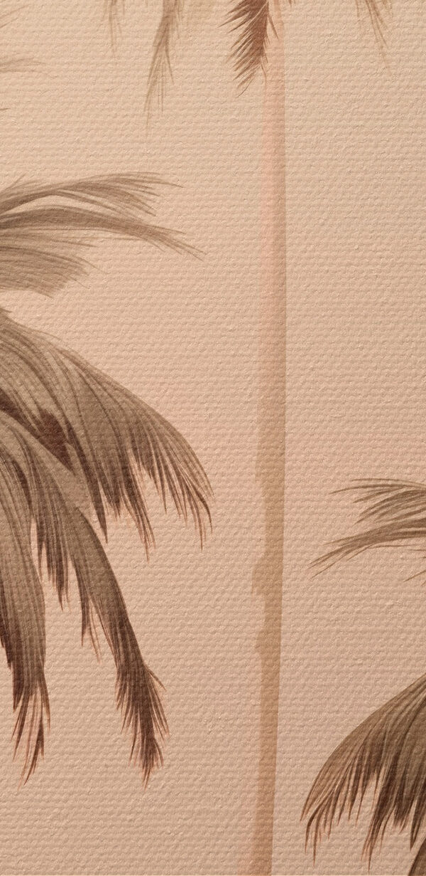 Group of palm trees