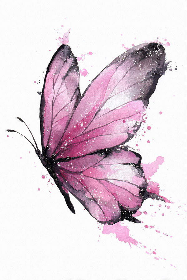 Pink butterfly with black wings