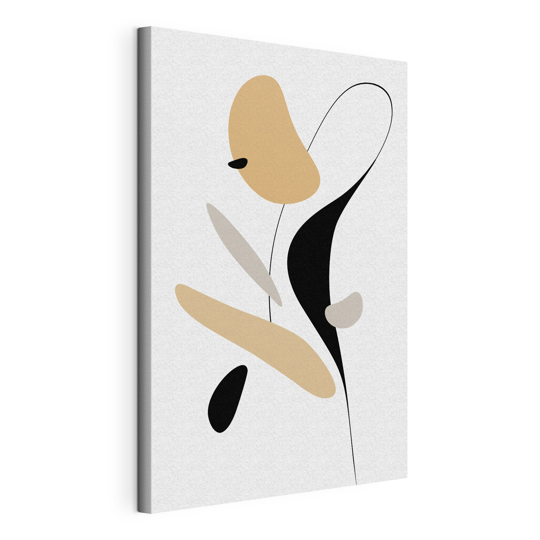 Abstract shapes in soft colors