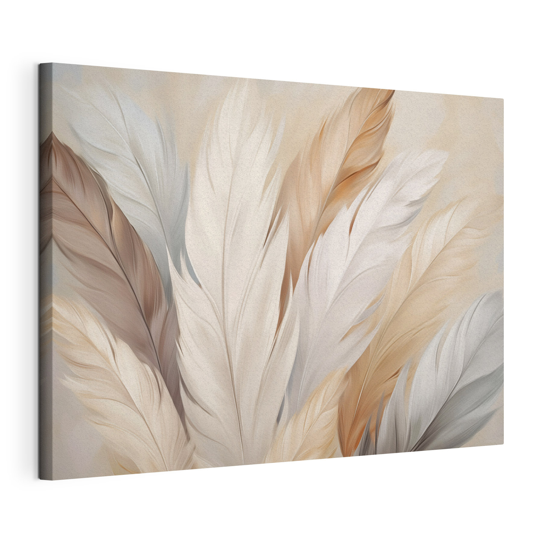 Group of feathers in different colors Group of feathers in different colors