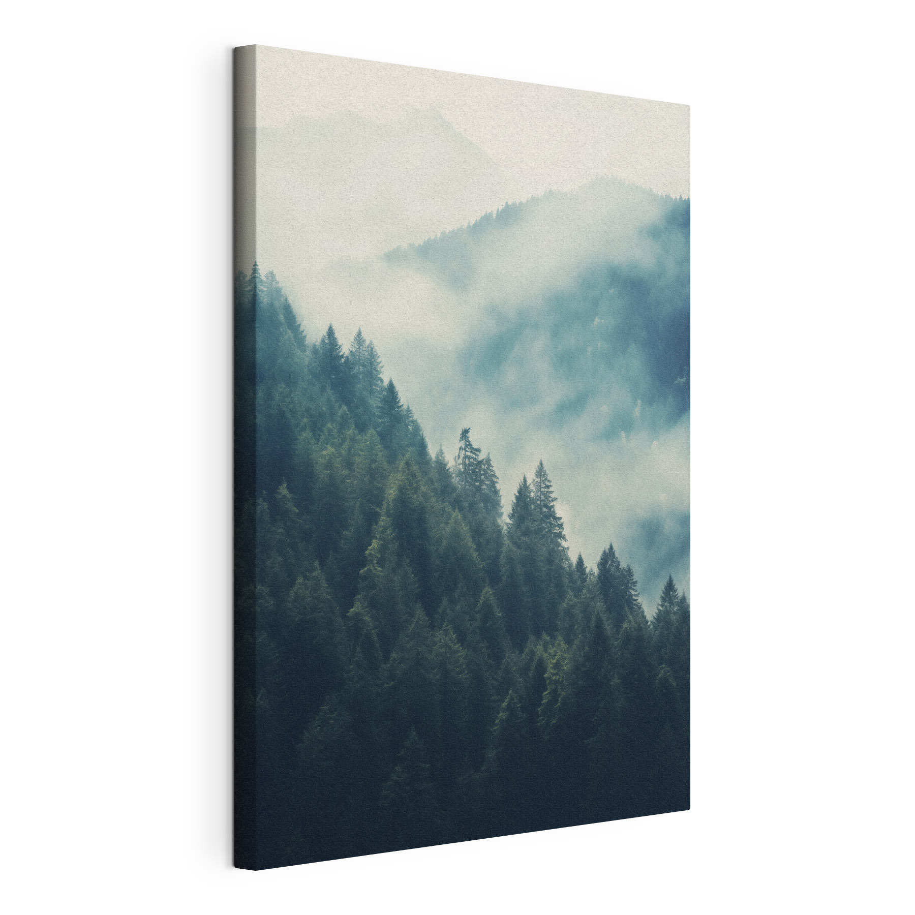 Forest of trees in the fog Forest of trees in the fog