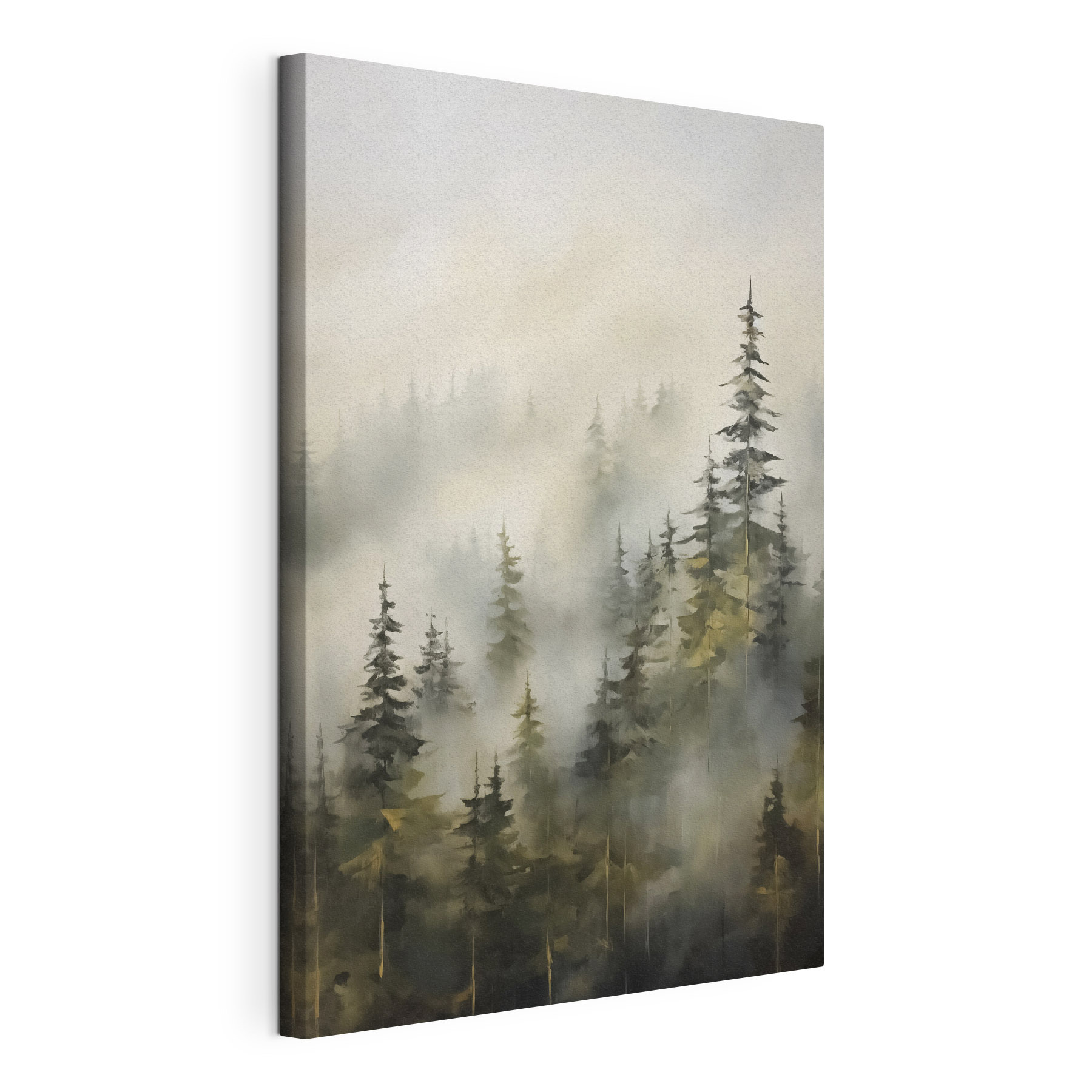 Foggy forest with trees Foggy forest with trees