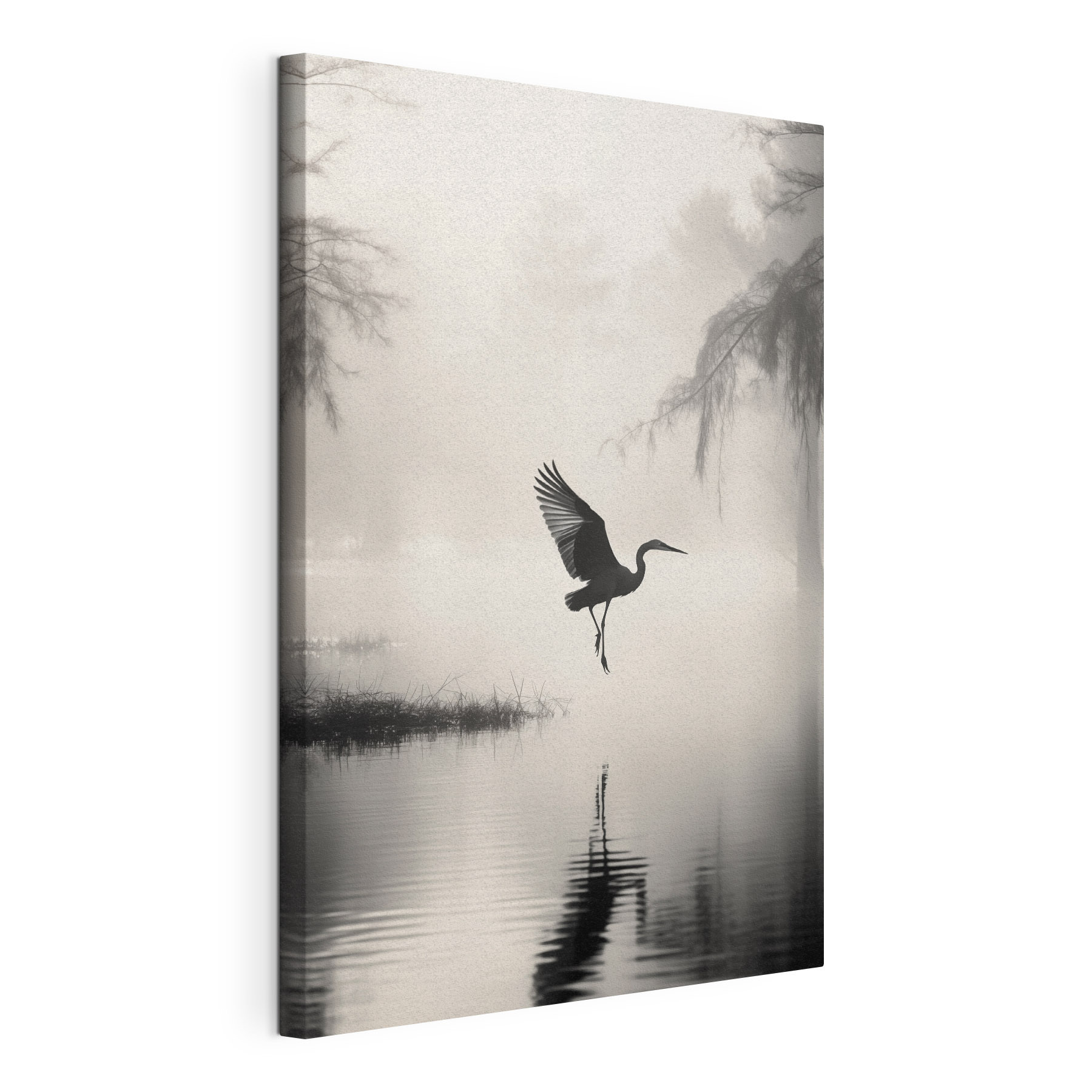 Bird flying over water Bird flying over water
