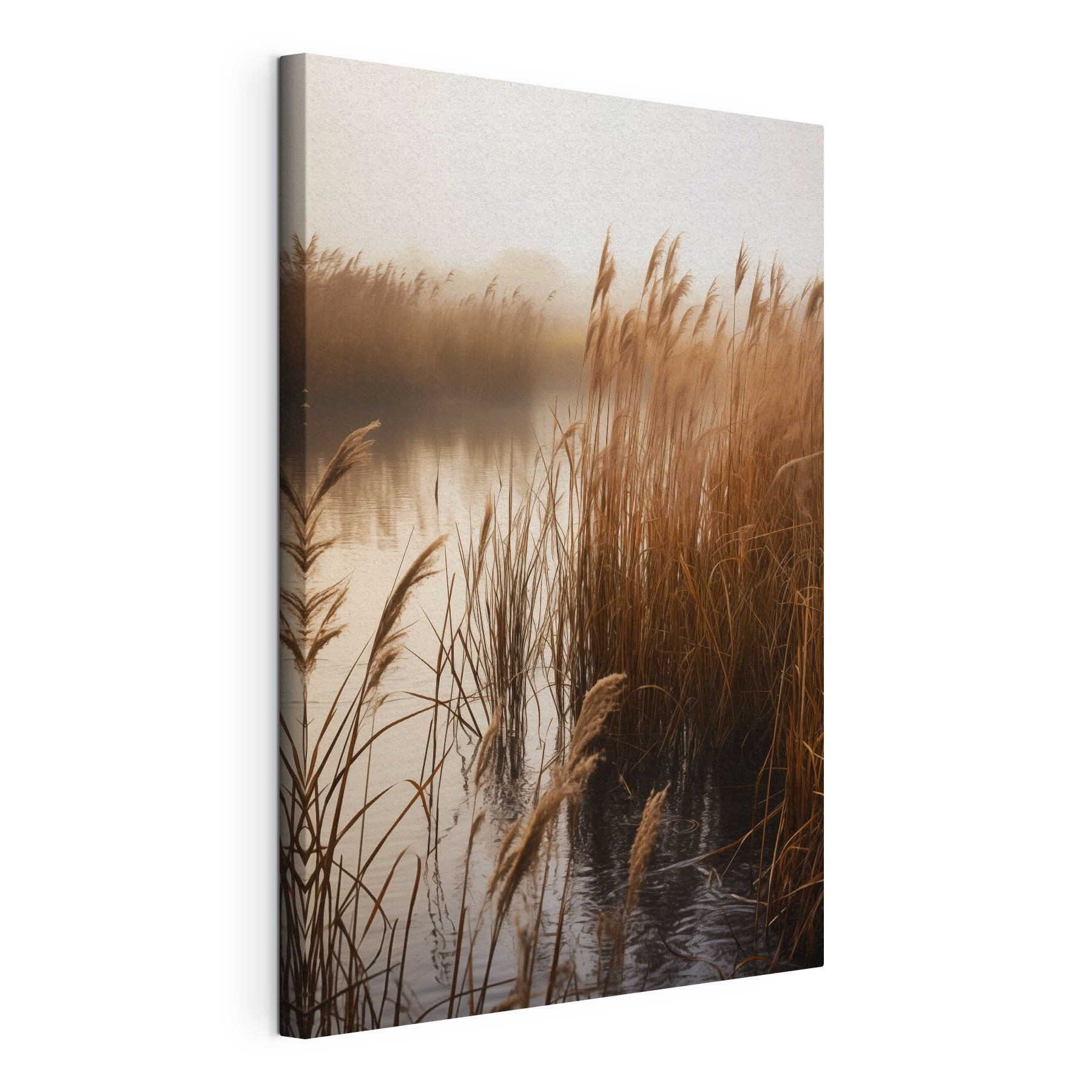 Reeds in the water Reeds in the water