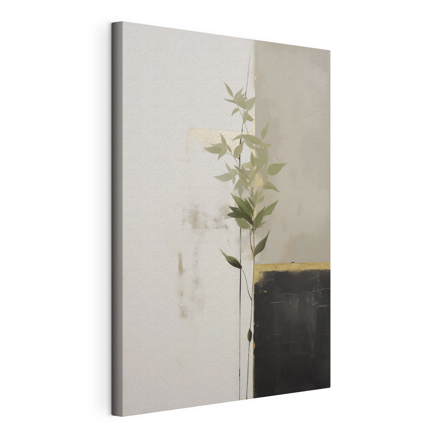 Plant growing up against a wall