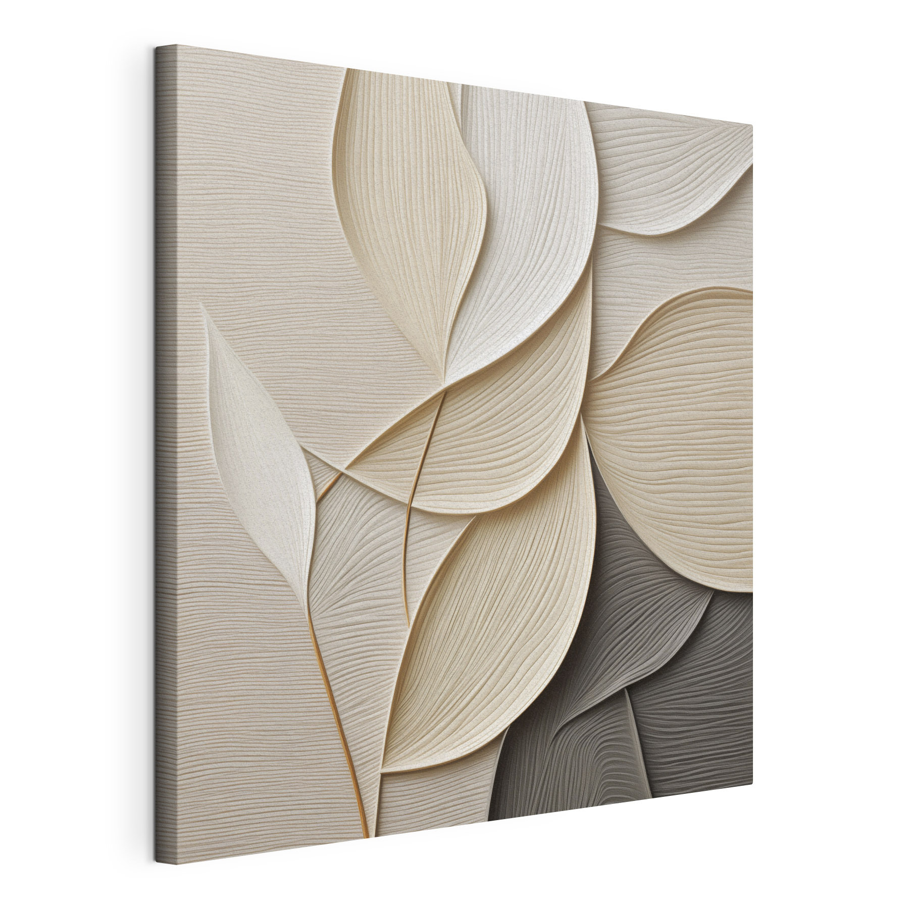 Soft curves and gentle lines blend