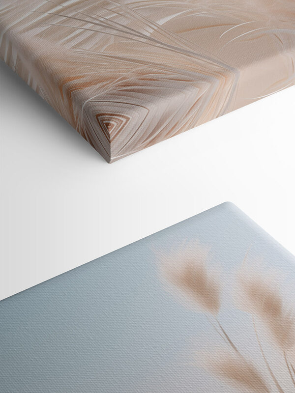 White grass with a mountain in the background White grass with a mountain in the background