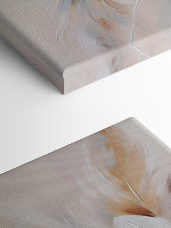 Soft feathers in gentle colors