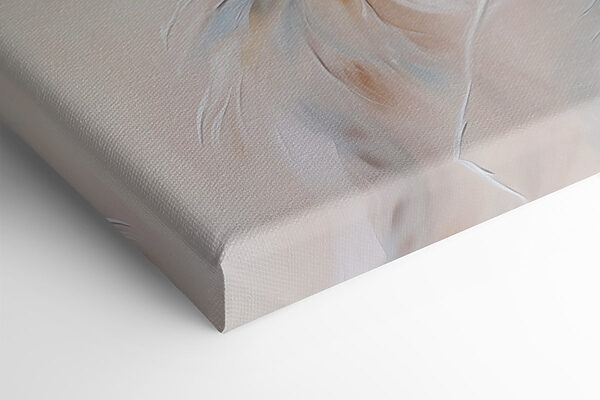 Soft feathers in gentle colors