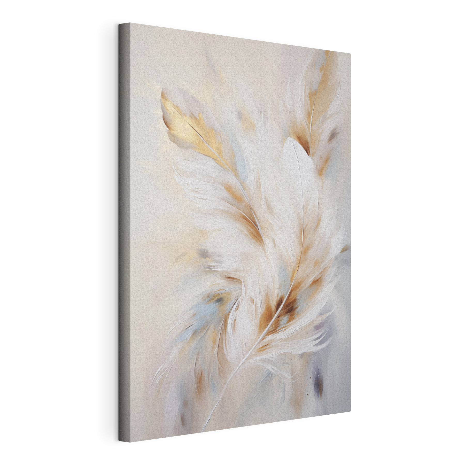 Soft feathers in gentle colors
