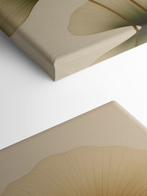 Soft hues of nature's elegance