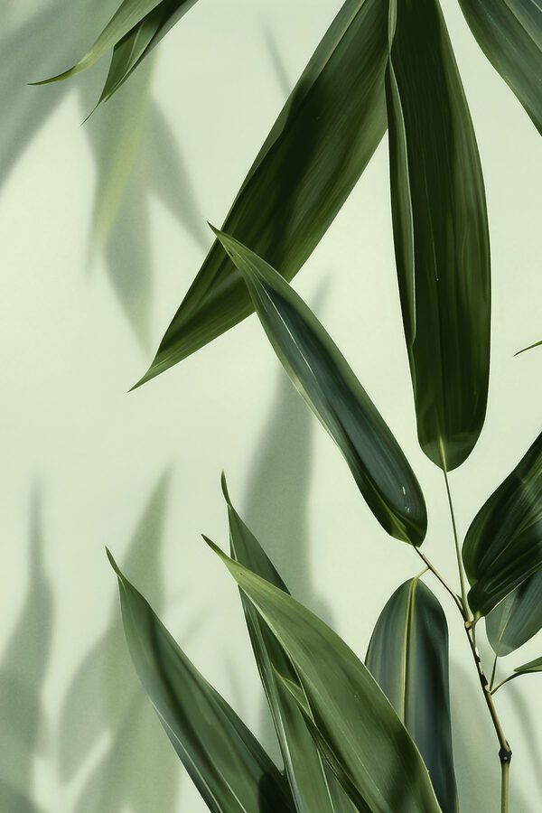 Delicate leaves on a soft backdrop Delicate leaves on a soft backdrop