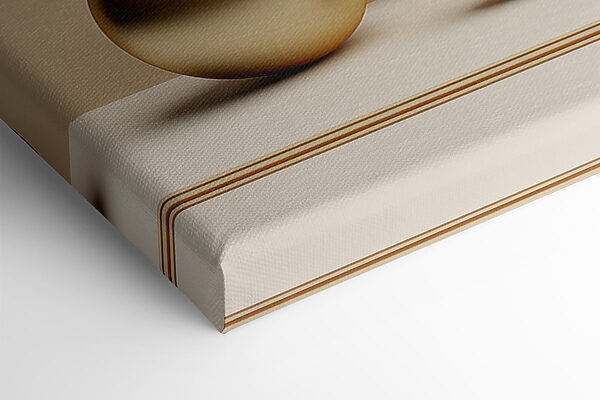 Soft curves and shapes in harmony