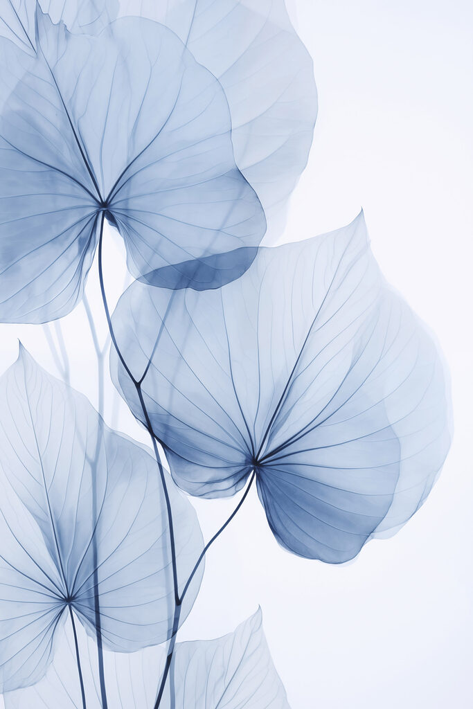 Delicate blue leaves on pale background Delicate blue leaves on pale background