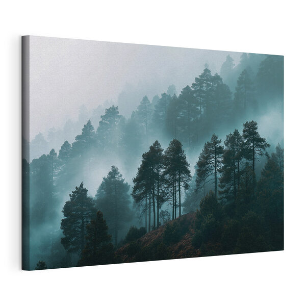 Wandbilder Nebelverhangener Wald mit Bäumen (Artikelnummer: s49672) Wandbilder Wandbilder Nebelverhangener Wald mit Bäumen (Artikelnummer: s49672)