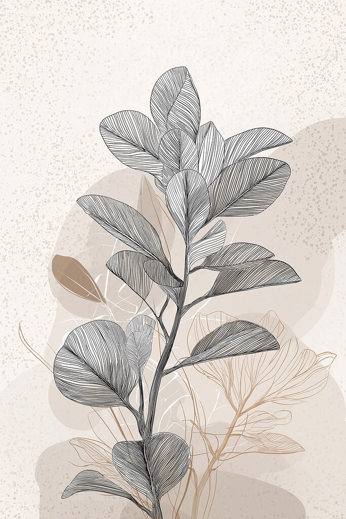 Plant with black and white leaves