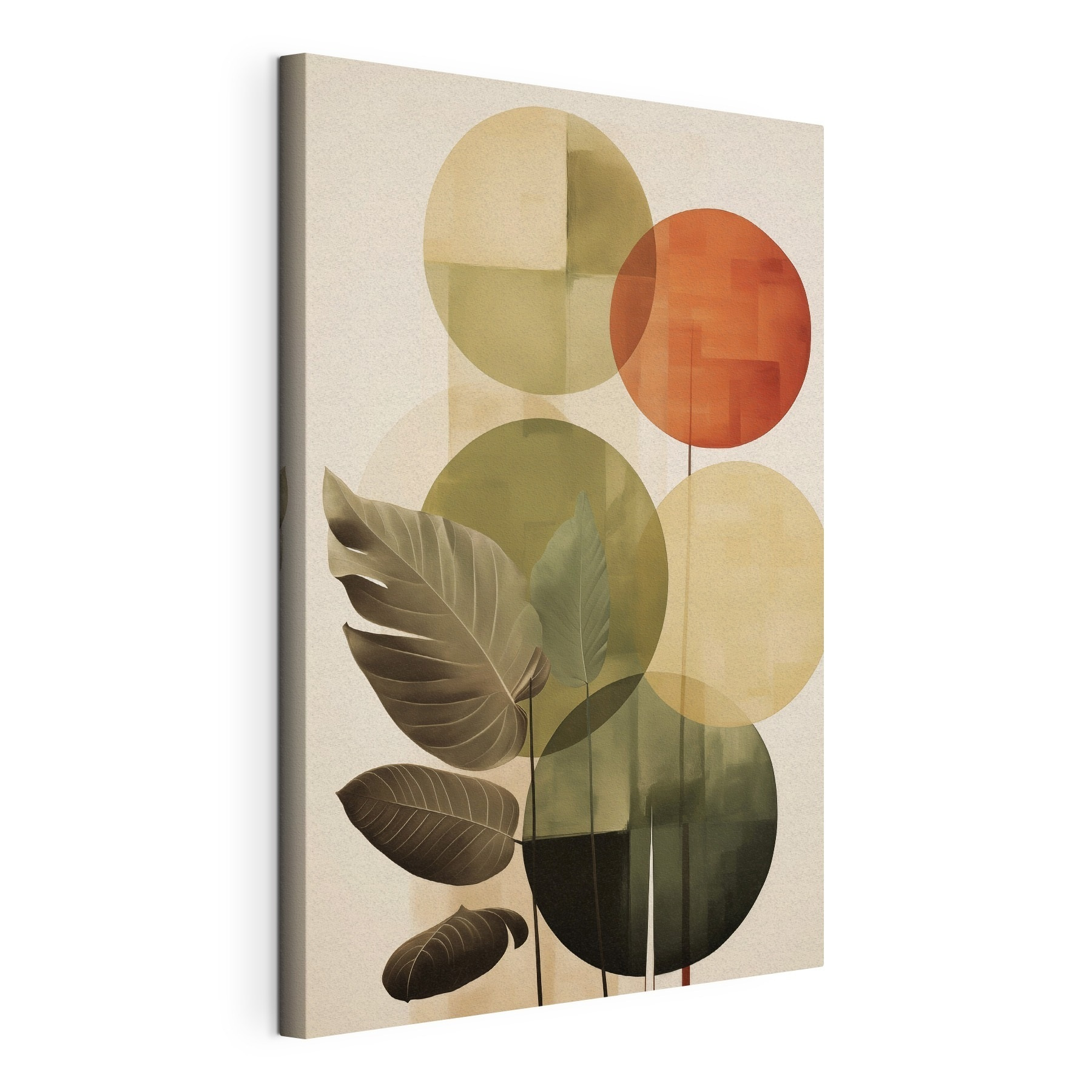 Group of leaves and circles
