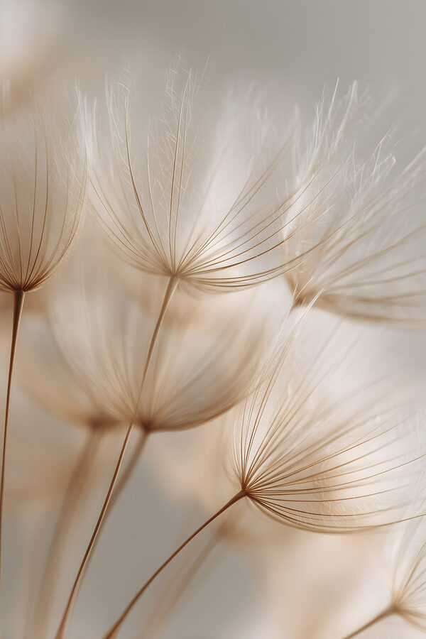 Delicate strands in soft focus Delicate strands in soft focus