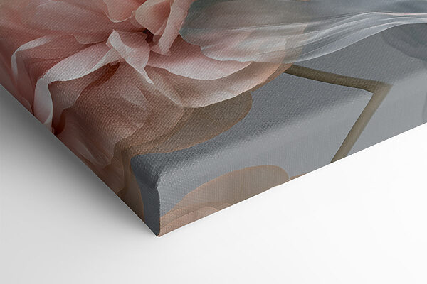 Delicate petals in soft hues Delicate petals in soft hues