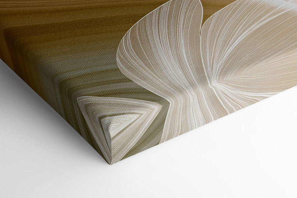 Soft curves and gentle lines collide Soft curves and gentle lines collide