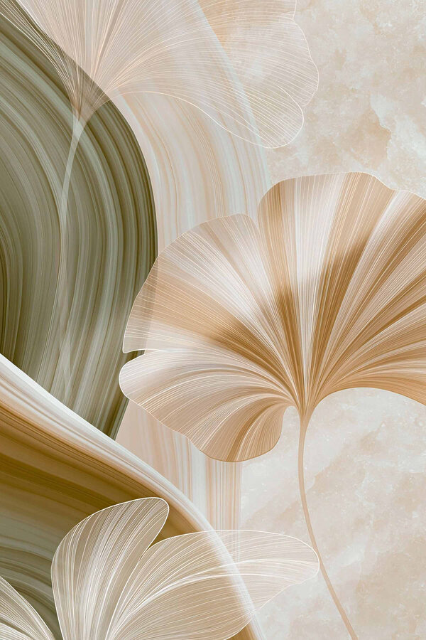 Soft curves and gentle lines collide Soft curves and gentle lines collide