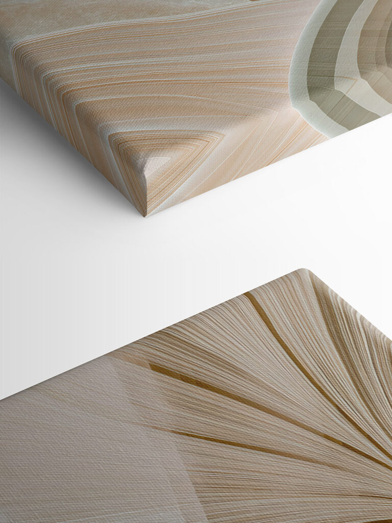 Soft curves and gentle hues blend together