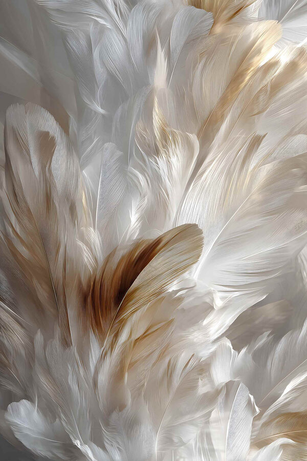 Delicate feathers in soft hues