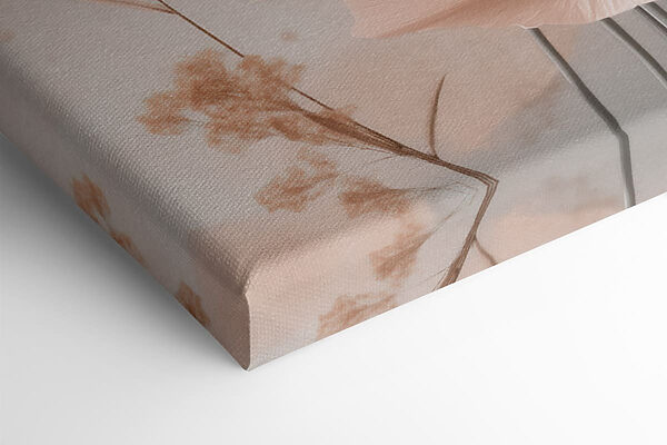 Delicate blooms in soft hues