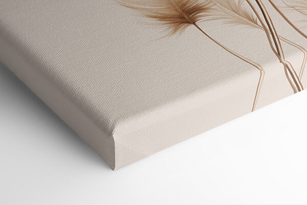 Delicate feathers against soft backdrop Delicate feathers against soft backdrop