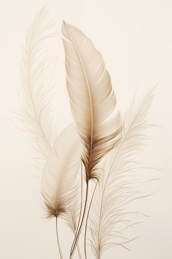 Delicate feathers against soft backdrop Delicate feathers against soft backdrop