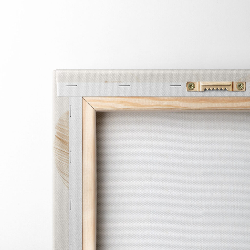 Delicate feathers in soft tones