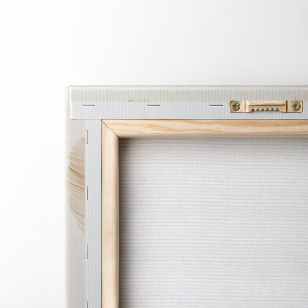 Delicate feathers in soft tones